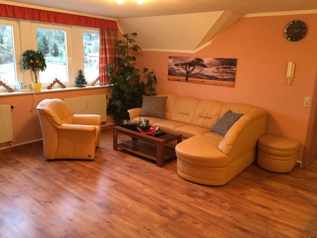 Pöhlbergblick Apartment *